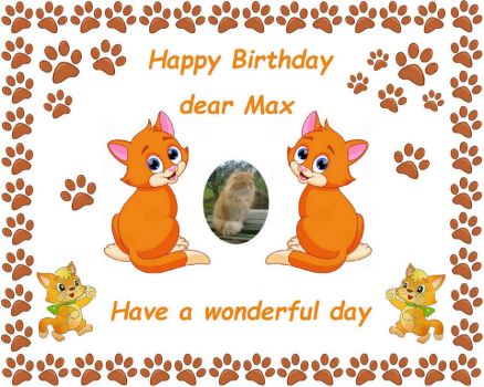 Happy Birthday dear Max (Jana's cat - Janazlouky)
