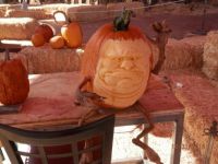 Cave Creek Pumpkin Carving 1