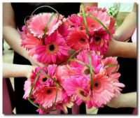 bouquet