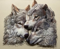 3-D portrait of  Wolfs