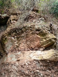 Verwitternder Sandstein in Nideggen