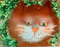 The Cat's Whiskers by Jane Paquin