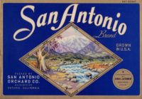 San Antonio brand