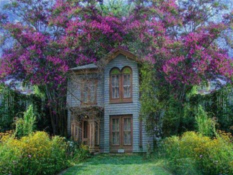 Beautiful Haunted House