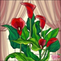 red calla lilies