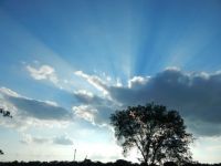 Sun Rays