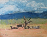Seligman-WIP