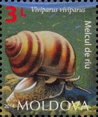 Moldovan snail stamp 1