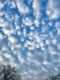 Cloudscapes