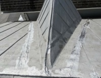 Top coat, roof repair