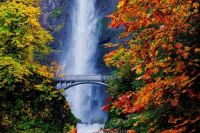 Multonomah-Falls-Fall-Colors-Columbia-River-Gorge-Oregon-2016-photo-by-Jay-Huang-CC2