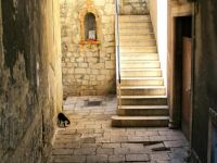 Medieval cat in Croatia