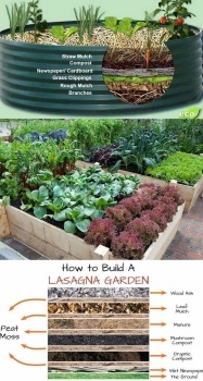 How to build a lasagne garden