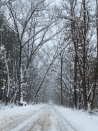 Michigan backroads in the snow