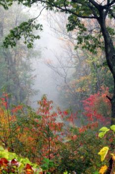 blue ridge autumn