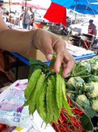Thai vegetable