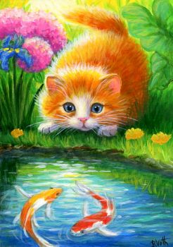 Kitten and koi fish