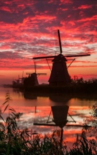 red sunset with windmill