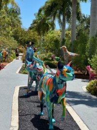 Part of the walkway of the art exhibition