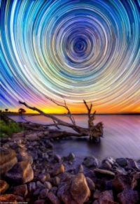 stars