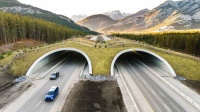 Wildlife Overpass above Trans-Canada Highway