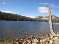 Lake view