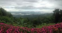 VIEW FROM THE KING'S MOTHER'S GARDEN - CHIANGRAI - THAILAND