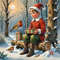 Christmas Elf and Robins