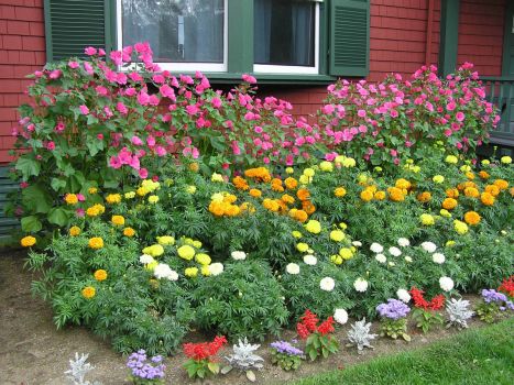 Garden at Campobello #3