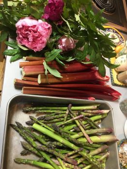 Peonies, Rhubarb and Asparagus
