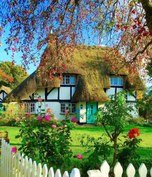 Fancy Thatched-Roof House.....
