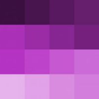 Shades of Purple