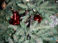 A different kind of tree ornament.  There he is, one green eye showing.