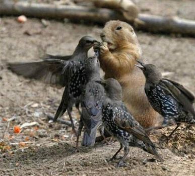 feeding time