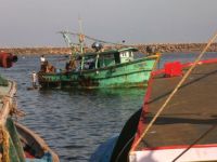 Fiskerihavnen i Chennai,Indien