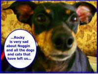 Sympathy from Rocky
