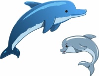 aet - delfíni