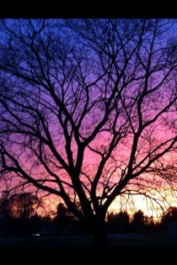 Sunset In Michigan