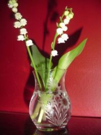 Lily-of-the-Valleys