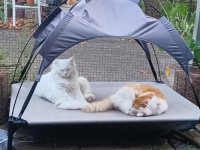 2 Freunde - 2 friends