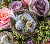 Easter nest with roses