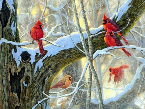 Cardinal Gathering