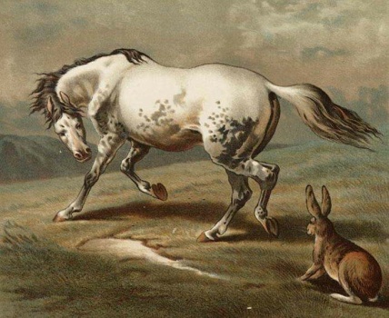 Hare&Horse