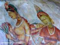 SRI LANKA – Sigiriya Fortress - The famous Damsels' fresco