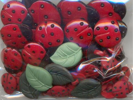 Package of ladybug buttons