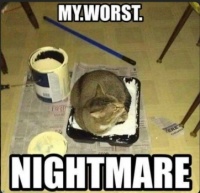 ..maybe if the cat just shakes, it'll cover all the walls at once???