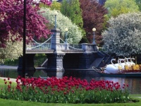 Public Garden, Boston, Massachusetts.