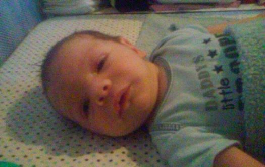 dylan(7)