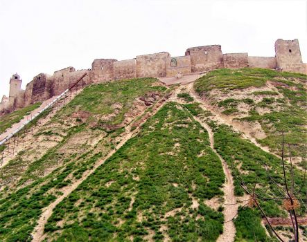 The Citadel Of Aleppo in 2008
