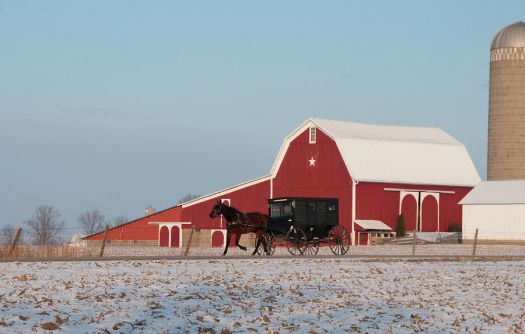 Amish Buggy And Red Barn